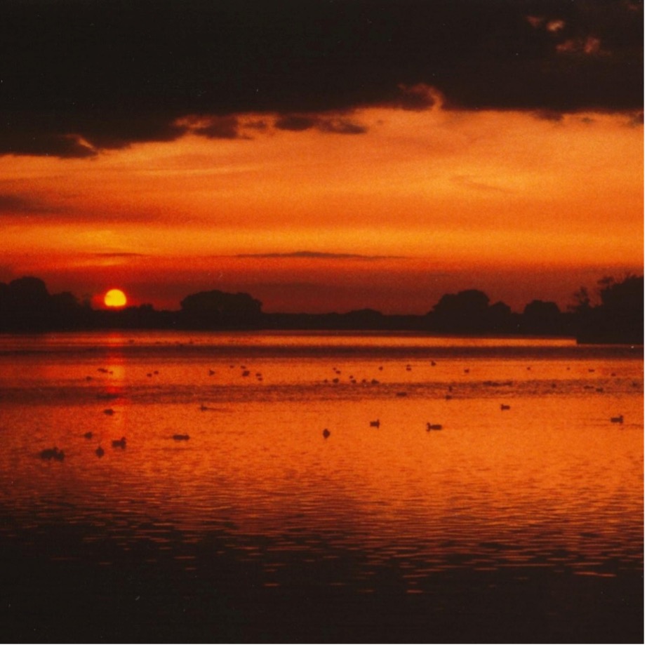 Single: Frontispiece